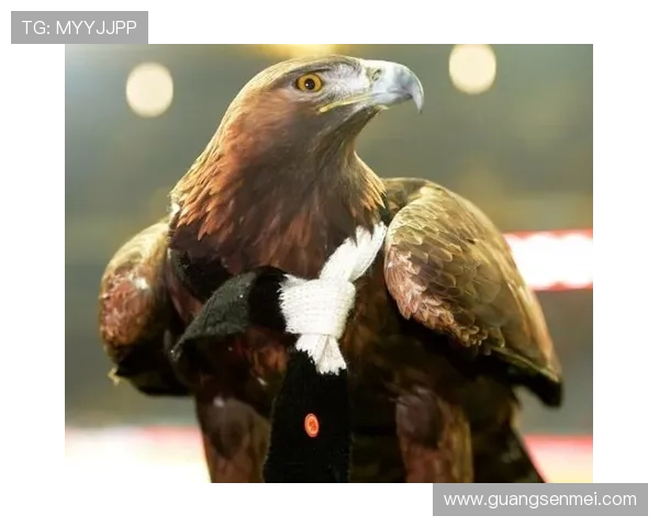 百年沉浮中的科隆俱乐部重塑德甲传统与城市精神的未来竞争力蓝图